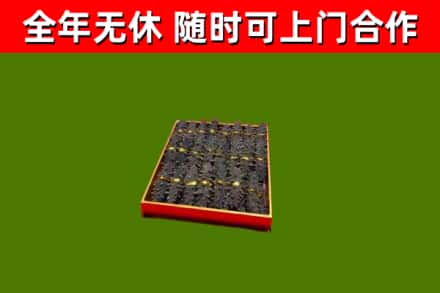 颍上回收海参